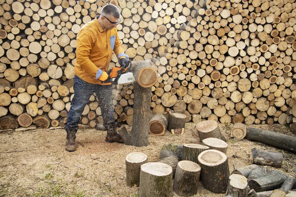 Sierra de cadena en acción cortando madera. Hombre cortando madera con sierra, polvo — Foto de Stock