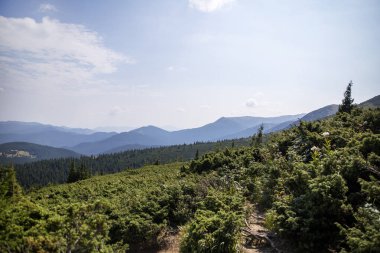 Mavi gökyüzüne karşı dağların ve ormanların güzel manzarası