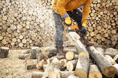 Tahta keserken elektrikli testere. Testereyle odun kesen adam, toz ve hareketler. Elektrikli testere. Tahta kesicinin yakın plan testeresi hareket halinde, talaş yana doğru uçuyor..