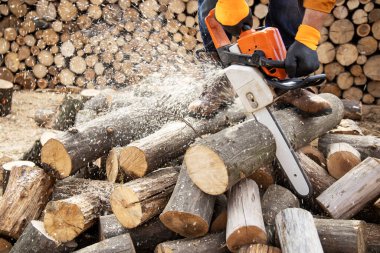 Tahta keserken elektrikli testere. Testereyle odun kesen adam, toz ve hareketler. Elektrikli testere. Tahta kesicinin yakın plan testeresi hareket halinde, talaş yana doğru uçuyor..