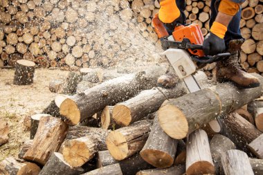 Tahta keserken elektrikli testere. Testereyle odun kesen adam, toz ve hareketler. Elektrikli testere. Tahta kesicinin yakın plan testeresi hareket halinde, talaş yana doğru uçuyor..