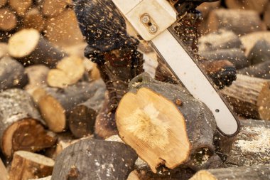 Tahta keserken elektrikli testere. Testereyle odun kesen adam, toz ve hareketler. Elektrikli testere. Tahta kesicinin yakın plan testeresi hareket halinde, talaş yana doğru uçuyor..