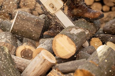 Tahta keserken elektrikli testere. Testereyle odun kesen adam, toz ve hareketler. Elektrikli testere. Tahta kesicinin yakın plan testeresi hareket halinde, talaş yana doğru uçuyor..