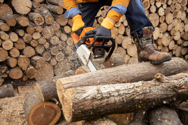 Tahta keserken elektrikli testere. Testereyle odun kesen adam, toz ve hareketler. Elektrikli testere. Tahta kesicinin yakın plan testeresi hareket halinde, talaş yana doğru uçuyor..