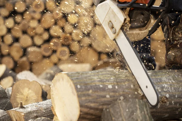 Tahta keserken elektrikli testere. Testereyle odun kesen adam, toz ve hareketler. Elektrikli testere. Tahta kesicinin yakın plan testeresi hareket halinde, talaş yana doğru uçuyor..