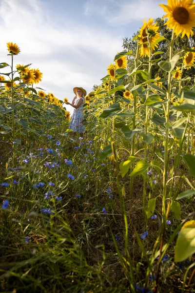 Fille Tient Tournesol Dans Ses Mains Belle Femme Dans Champ — Photo