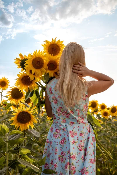 Rapariga Tem Girassol Nas Mãos Mulher Bonita Campo Com Girassóis — Fotografia de Stock