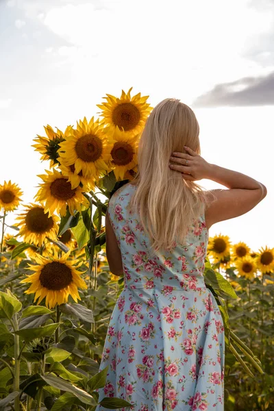 Rapariga Tem Girassol Nas Mãos Mulher Bonita Campo Com Girassóis — Fotografia de Stock