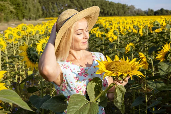 Rapariga Tem Girassol Nas Mãos Mulher Bonita Campo Com Girassóis — Fotografia de Stock