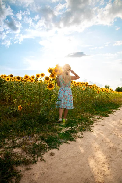 Rapariga Tem Girassol Nas Mãos Mulher Bonita Campo Com Girassóis — Fotografia de Stock