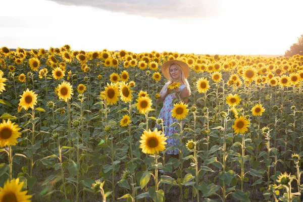 Rapariga Tem Girassol Nas Mãos Mulher Bonita Campo Com Girassóis — Fotografia de Stock