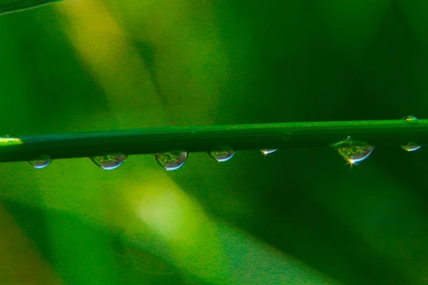 Krople deszczu — Zdjęcie stockowe