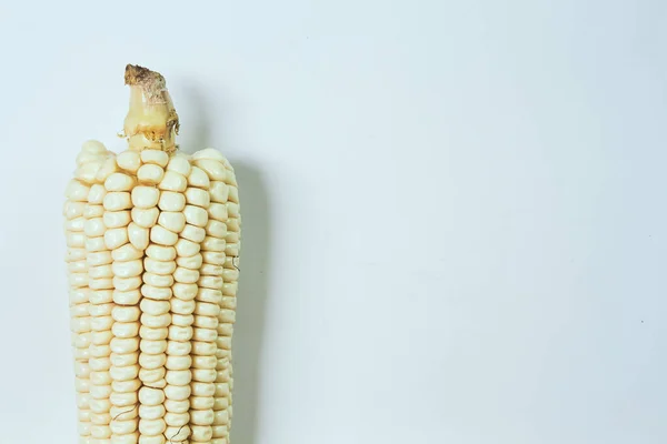 Background corn — Stock Photo, Image