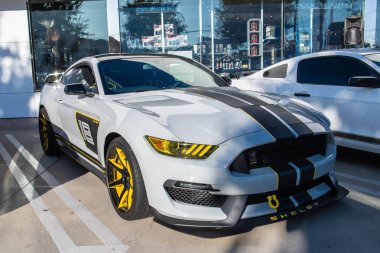 Galpin araba fuarı sırasında Ford Mustang sergileniyor.