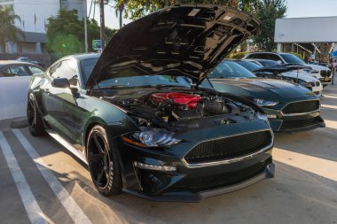 Galpin araba fuarı sırasında Ford Mustang sergileniyor.