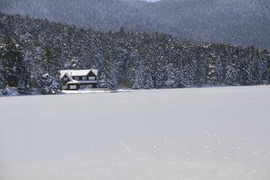 Gölcük Gölü/Bolu-Türkiye 