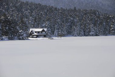 Gölcük Gölü/Bolu-Türkiye 