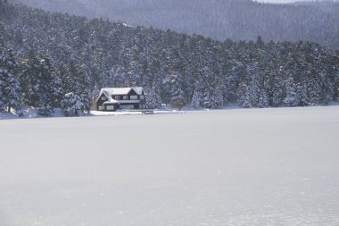 Gölcük Gölü/Bolu-Türkiye 
