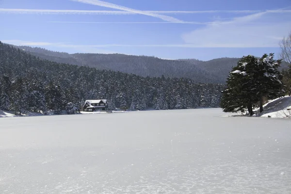 Golcuk Lake Bolu Turkiet — Stockfoto