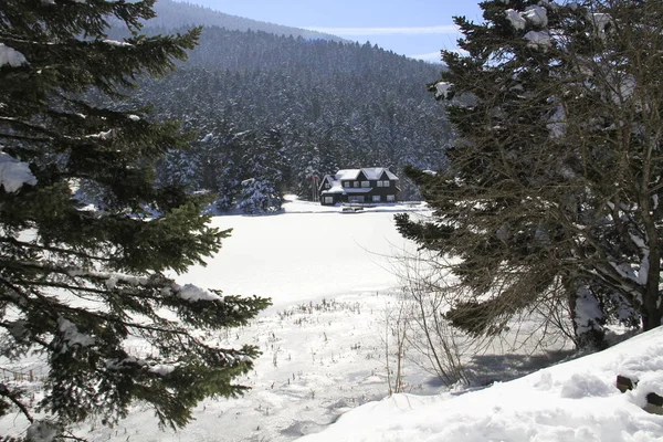 Lago Golcuk Bolu Turquía — Foto de Stock