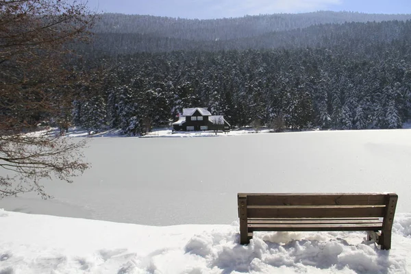 Golcuk Lake Bolu Törökország — Stock Fotó