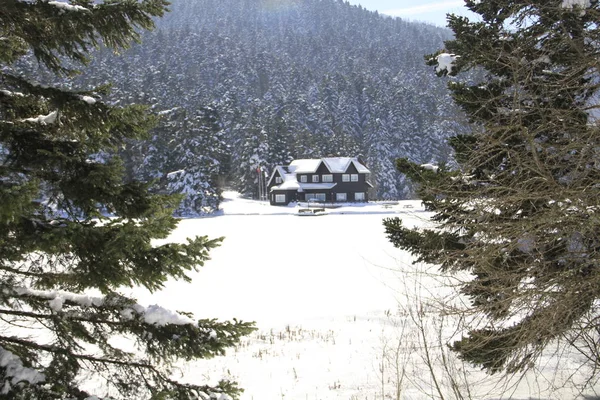 Golcuk Lake Bolu Turquie — Photo