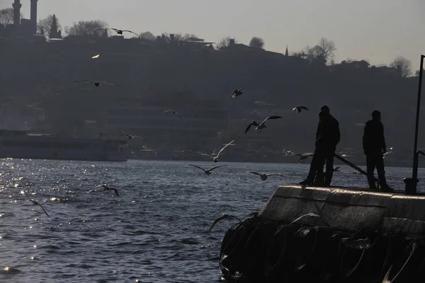 Pemandangan Bosporus Dan Menara Galata Kota Istanbul Turki — Stok Foto