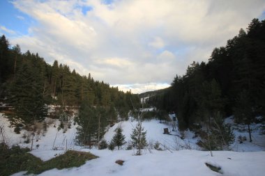 Bilecik bozcaarmut gölet ve ufuk çizgisi