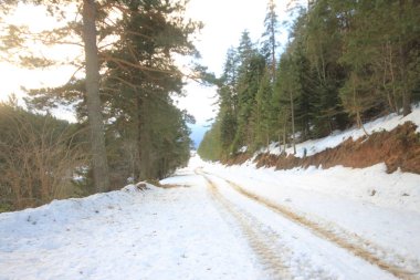Bilecik bozcaarmut gölet ve ufuk çizgisi