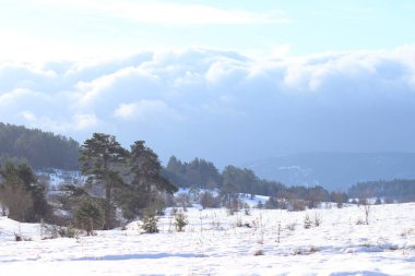 Bilecik bozcaarmut gölet ve ufuk çizgisi