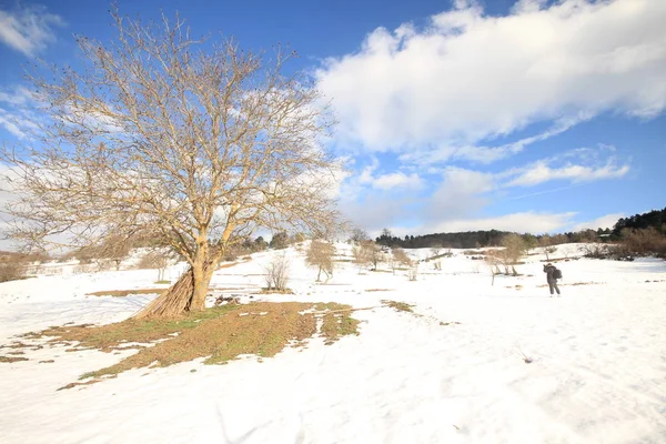 Bilecik Bozcaarmut Étang Horizon — Photo