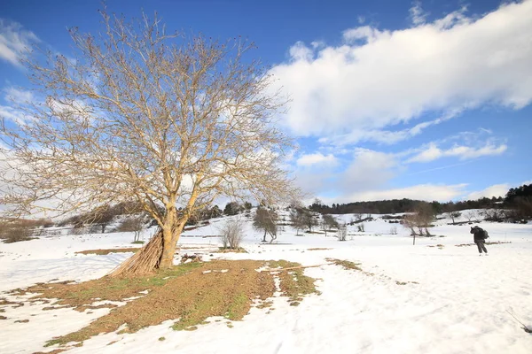 Bilecik Bozcaarmut Étang Horizon — Photo