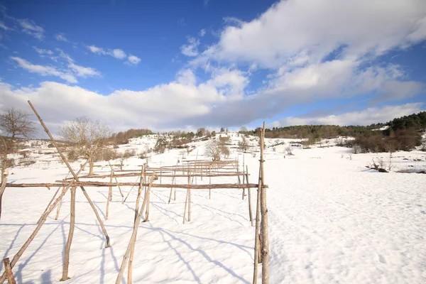 Bilecik Bozcaarmut Étang Horizon — Photo