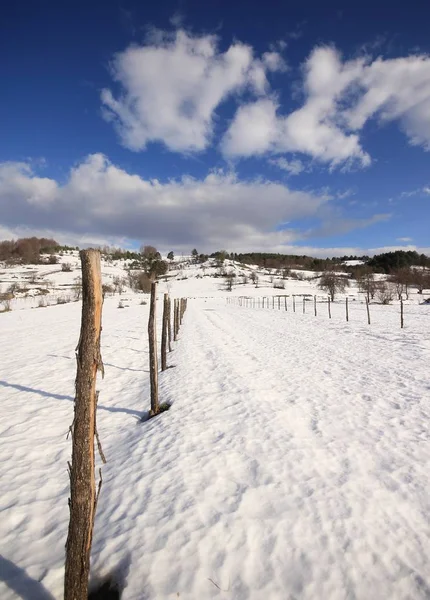 Bilecik Estanque Bozcaarmut Horizonte — Foto de Stock