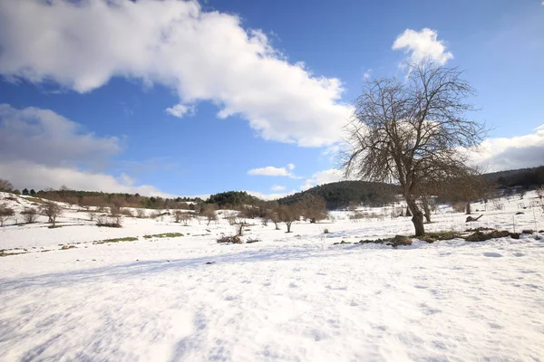 Bilecik Estanque Bozcaarmut Horizonte — Foto de Stock