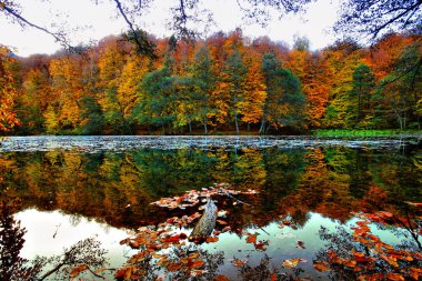 Sonbahar ve bahar manzara fotoğrafları