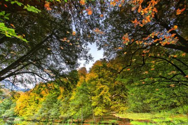 Sonbahar ve bahar manzara fotoğrafları