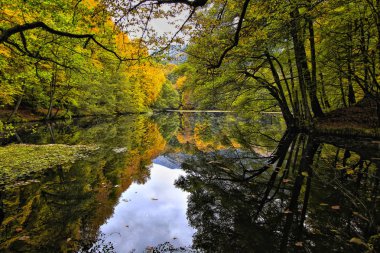 Sonbahar ve bahar manzara fotoğrafları