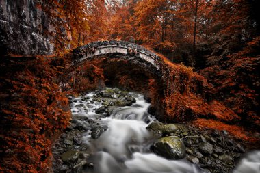 Sonbahar ve bahar manzara fotoğrafları