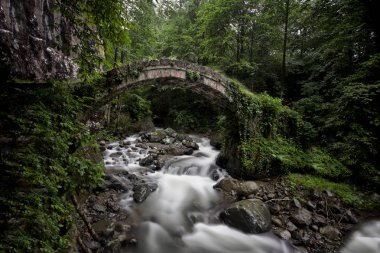 Sonbahar ve bahar manzara fotoğrafları