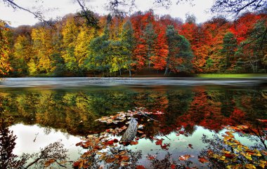 Sonbahar ve bahar manzara fotoğrafları