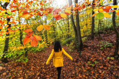 Sonbahar ve bahar manzara fotoğrafları