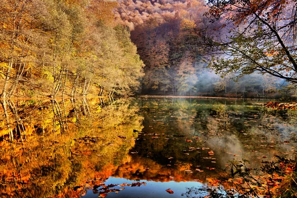Podzimní Jarní Fotky Krajiny — Stock fotografie