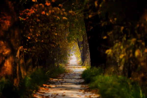 Outono Primavera Fotos Paisagem — Fotografia de Stock