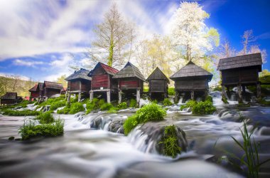 Sonbahar ve bahar manzara fotoğrafları