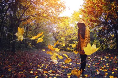 Sonbahar ve bahar manzara fotoğrafları