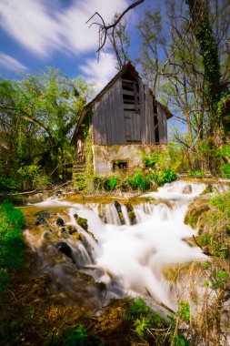 Sonbahar ve bahar manzara fotoğrafları