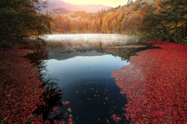 Outono Primavera Fotos Paisagem — Fotografia de Stock