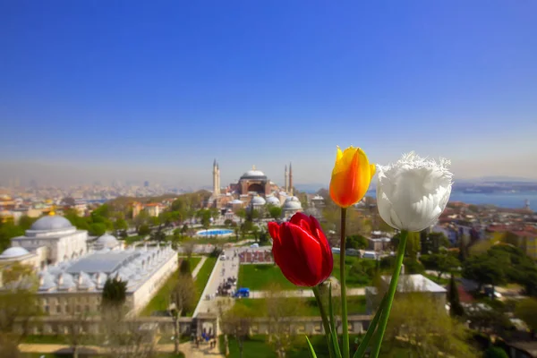 Fotos Paisajes Más Bellas Estambul — Foto de Stock