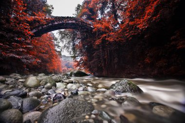 Doğu Karadeniz ve Kaçkar Dağları Manzarası